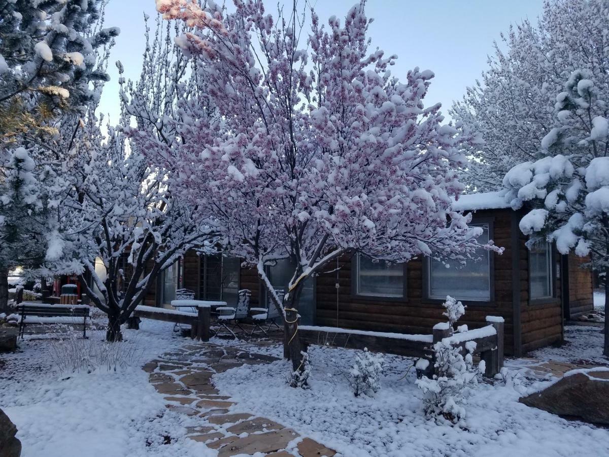 West Winds Lodge Ruidoso Kültér fotó
